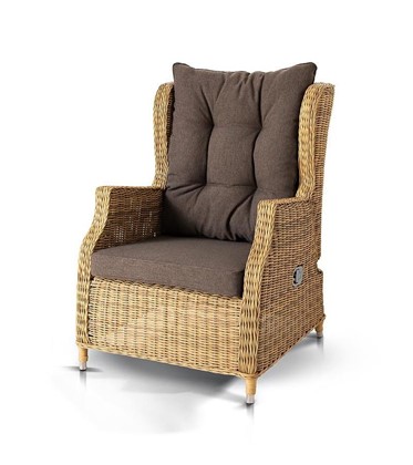 Кресло Форио, цвет соломенный Арт.: YH-C1543D в Самаре - изображение