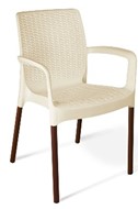 Кресло 970191 бежевый/коричневый Коллекция PATIO PLASTIC в Сочи